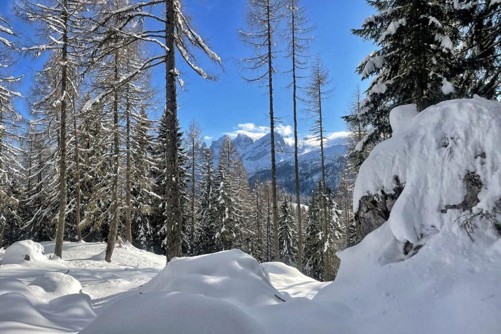 TD_Valfredda_PaleSanMartino